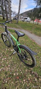 KENZEL SHADE X3 2024 - 7