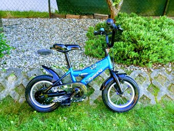 Bicykel Harry - 7