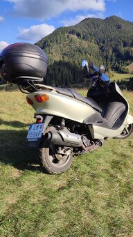 Yamaha Majesty 150 - 7