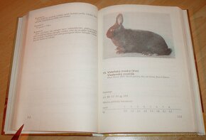 Vzorník plemen králíku - 7