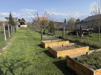 HALO reality - Predaj, chalupa Partizánske, Veľké Bielice, H - 7