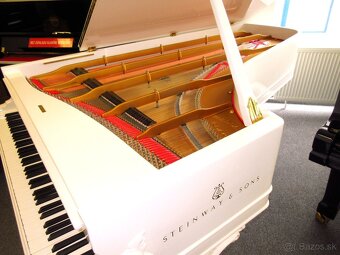 jedinečný unikát Steinway & Sons z roku 1860 - 7