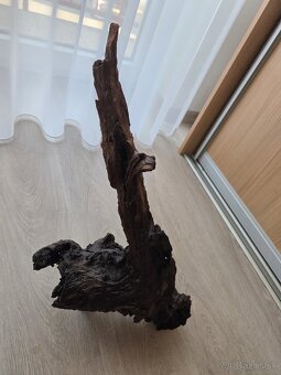 Koreň do akvária / terária - 7