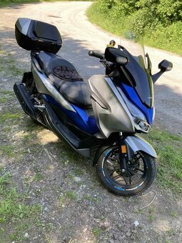 Honda forza 125 - 7