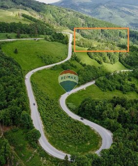 Krásny veľký pozemok 30 000m2 pri Palcmanskej maši, - 7