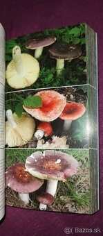 1000 slovenských a českých húb - 7