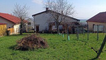 Na predaj: Priestranný rodinný dom s garážou a vinohradom v - 7
