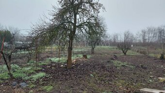 Rodinný dom v Lipovej na predaj - 7