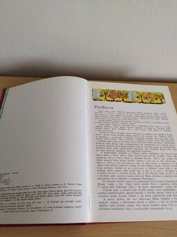 Ilustrovana Biblia. - 7