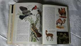 Svet živočíšnej ríše - 608 strán , ilustrovaná - 7