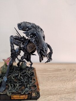 Alien-Queen/Kráľovná - 7
