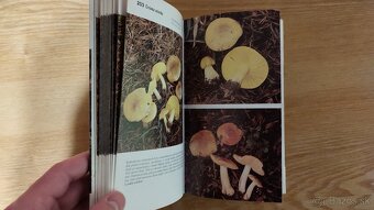 Houbařský atlas - J. a M.Erhartovi ( Huby, Atlas húb ) - 7