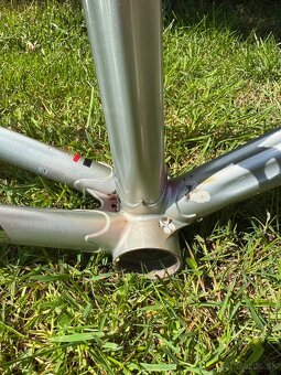 Colnago Arabesque Regal - 7