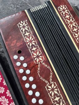 Harmonika - 7