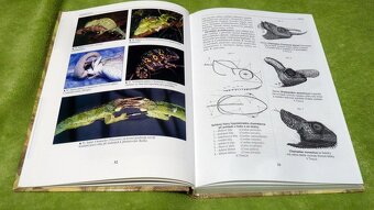 Chameleoni - Petr Nečas - 7