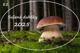Sušené hríby/ dubáky - 7