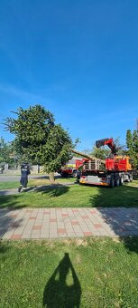 Autodoprava,preprava tovaru,prace s hydraulickou rukou - 7