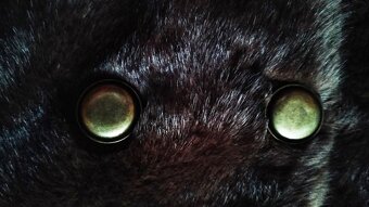 Hnedá krátka kožušinová bunda, v. XL/XXL - 7