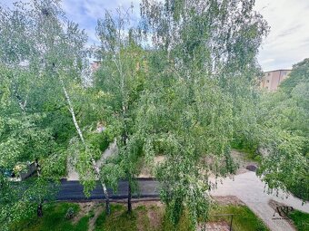 NA PREDAJ 2 IZBOVÝ BYT S LOGGIOU, 48 M2, ul. MIRKA NEŠPORA, - 7