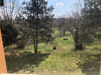 Prenájom 1-izbového bytu - 7