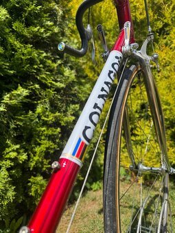 Colnago Nuovo Mexico - 7