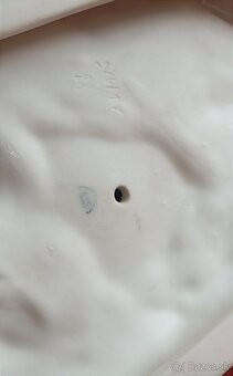 Royal dux - polovnicky pes - 7