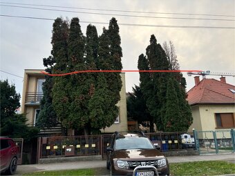 Odstraňovanie tují, úprava záhrad a živých plotov, kosenie - 7