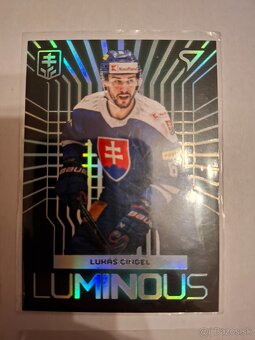 Hokejové Slovensko 2024 - 7