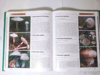 Veľký atlas húb - 7