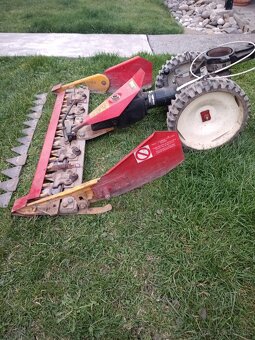 Vari listova kosacka - 7