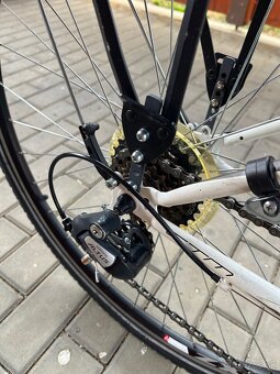 Bicykel CTM Florence - 7