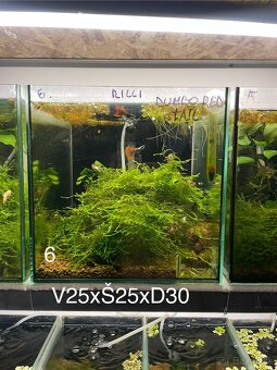 Za symbolickú cenu 20€ všetko - 7