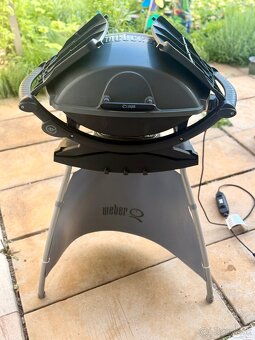 Gril Weber - 7