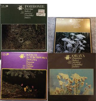 Kúpim československé LP (platne, vinyly)- na obrázkoch - 7