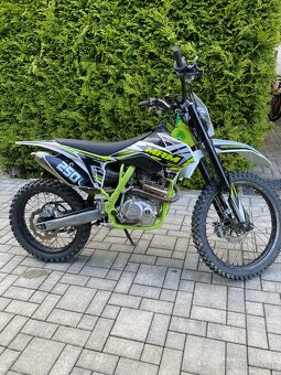 Pitbike Minirocket Pitstar ll - 7