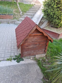 Psia búda s pelechom - 7