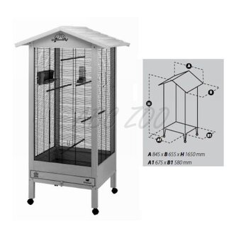 Agapornis - 7