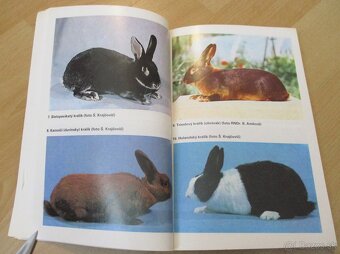 Chováme králiky - 4 - 7