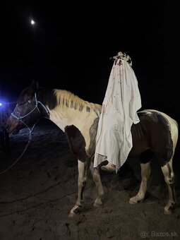 🐎 Jazdenie na koni – Červeny Dvor - 7