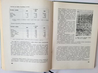 Skalica v minulosti a dnes - 7