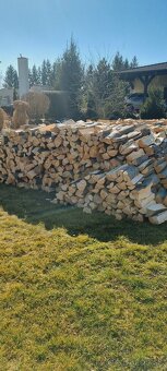 Predam palivové  drevo. - 7
