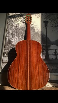 Španielska gitara koncertná - 7