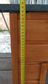 Búda pre psa - 7