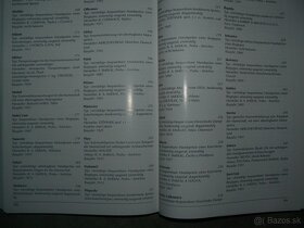 Historické Stříkačky - 7