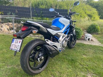 Suzuki SFV Gladius 650 - 7