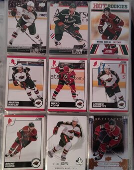 Hokejové kartičky Minnesota Wild - 7