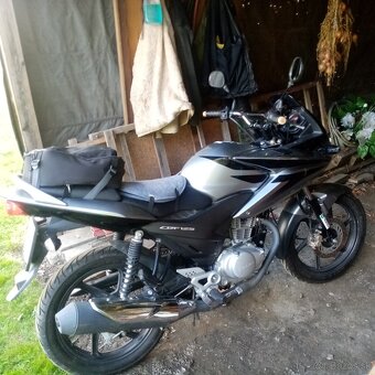 HONDA CBF 125- M - 7