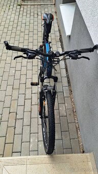 CTM REIN 1.0. - 7