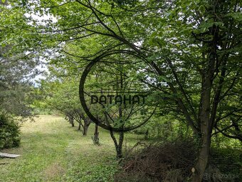 Rekreačný pozemok – Sečovce (Vinice) - 7