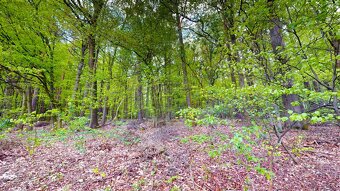 Stavebný pozemok 2796 m2 Rudník okres Myjava + elektrika - 7